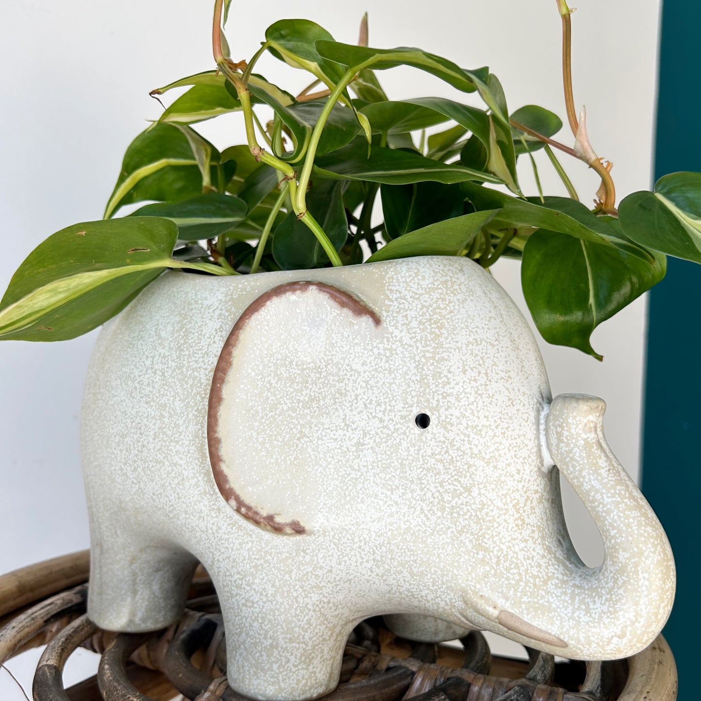 ELEPHANT Decorative Pot