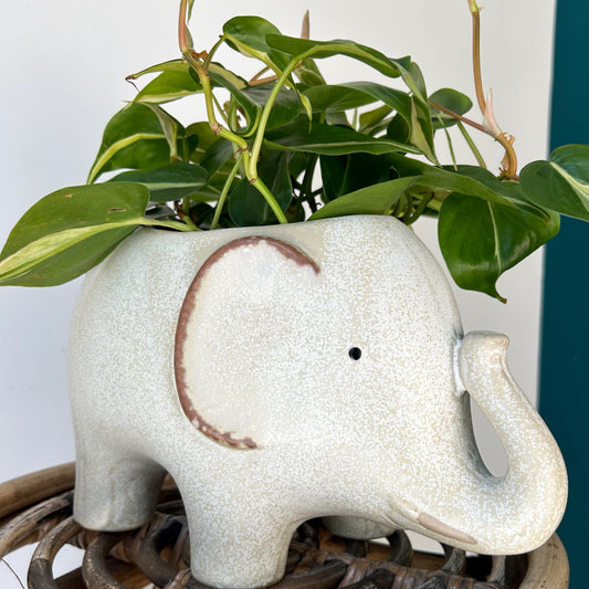 ELEPHANT Decorative Pot