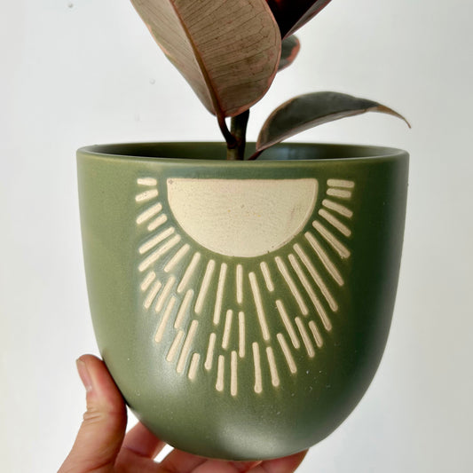 MEADOW Decorative Pot (5.25”x5”)