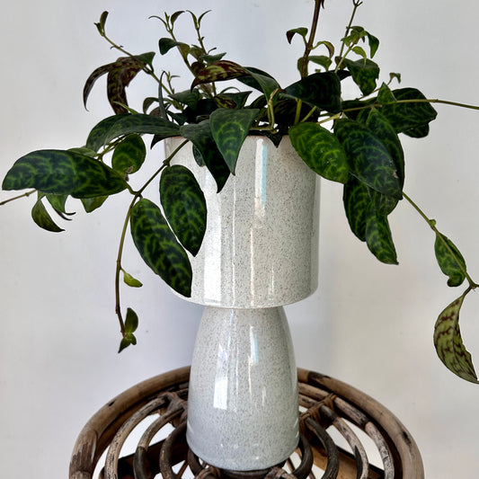 BETA Footed Ceramic Pot (5.25”x11”)