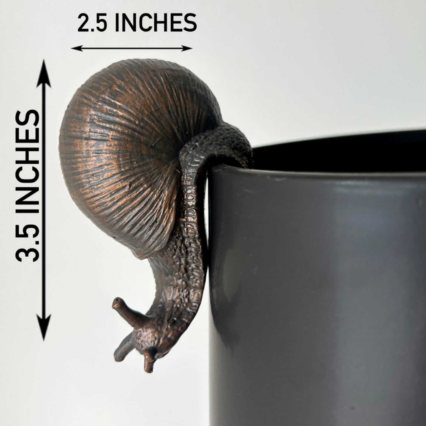 Bronze SNAIL Decorative Accent