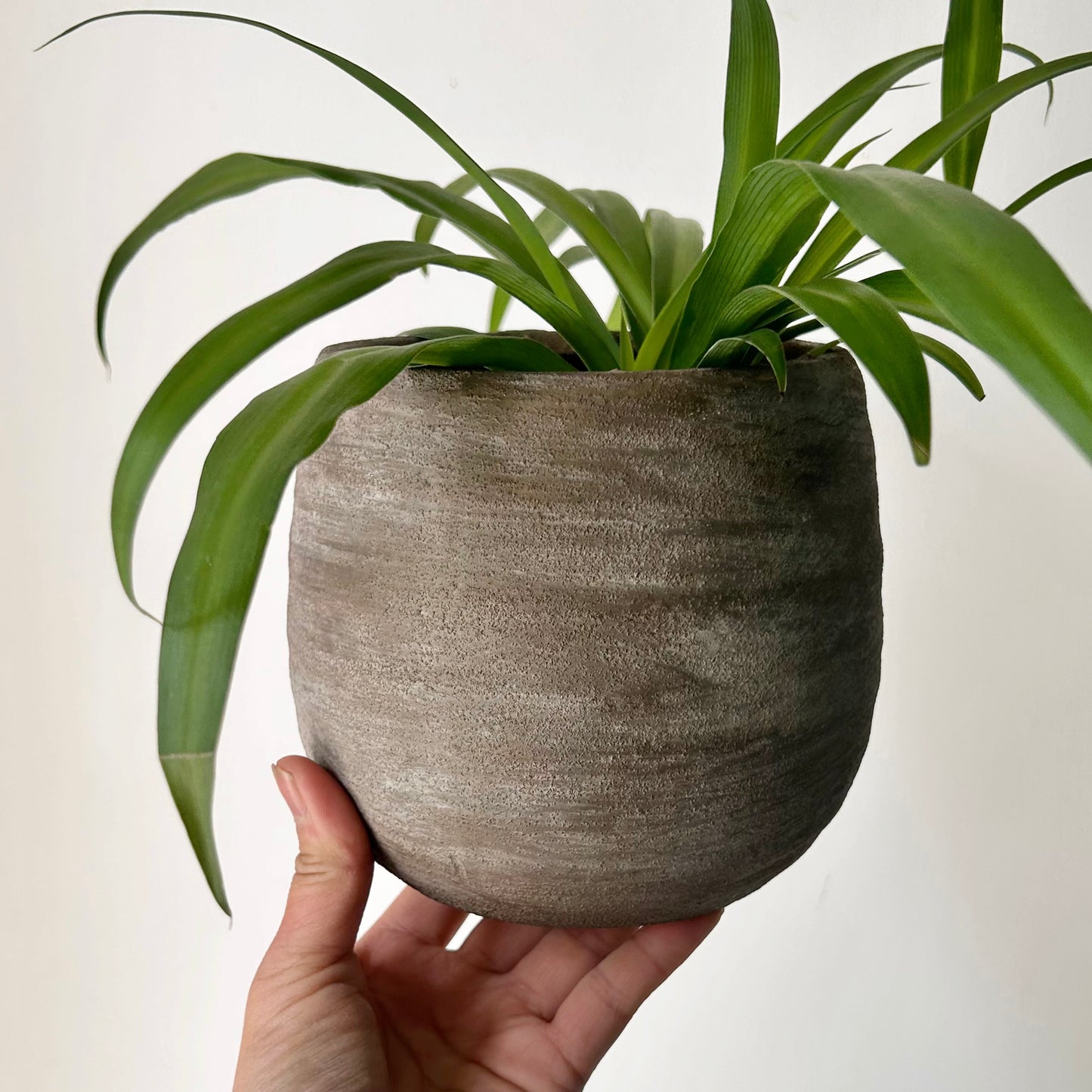 SANDIE decorative pot (4.75”x5.25”) available in 3 colours