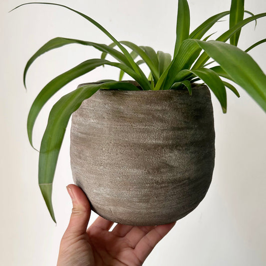 SANDIE decorative pot (4.75”x5.25”) available in 3 colours
