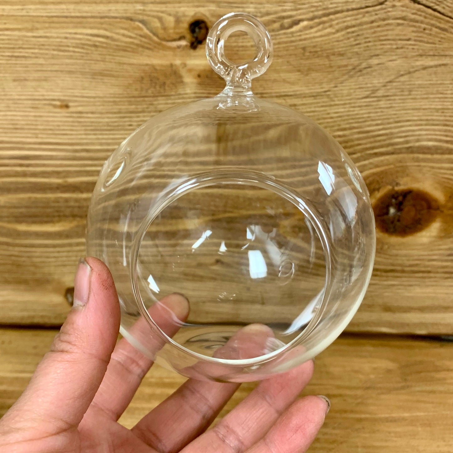 Decorative Glass Terrarium (3.5 wide)