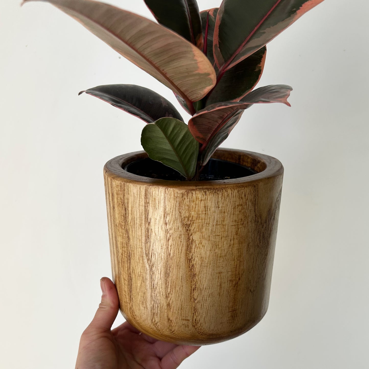 NICO Wooden Decorative Planter (5”x6”)