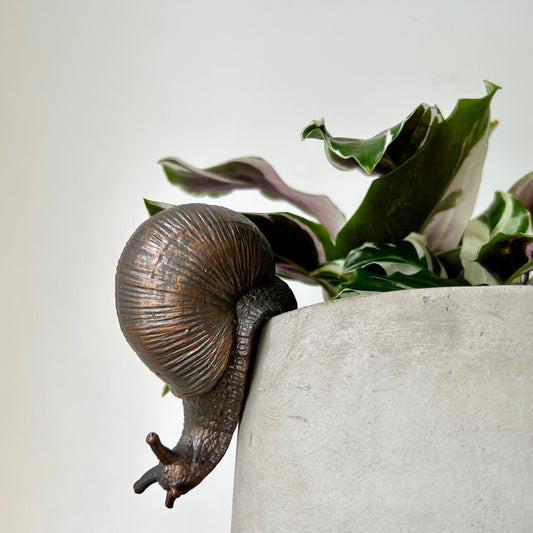 Bronze SNAIL Decorative Accent