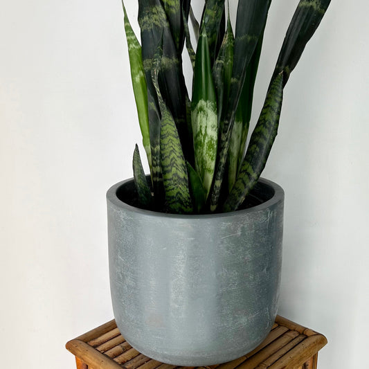 ADEN Large Cylindrical Planter