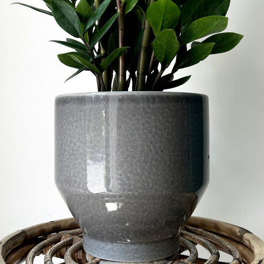 ELLIS decorative tapered ceramic pot (7”x7”)Glossy Grey