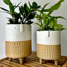 Load image into Gallery viewer, CALVIN Footed Face Planter (available in two sizes )
