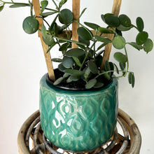 Load image into Gallery viewer, KENDAL Decorative Pot TEAL (5.75”X6”)
