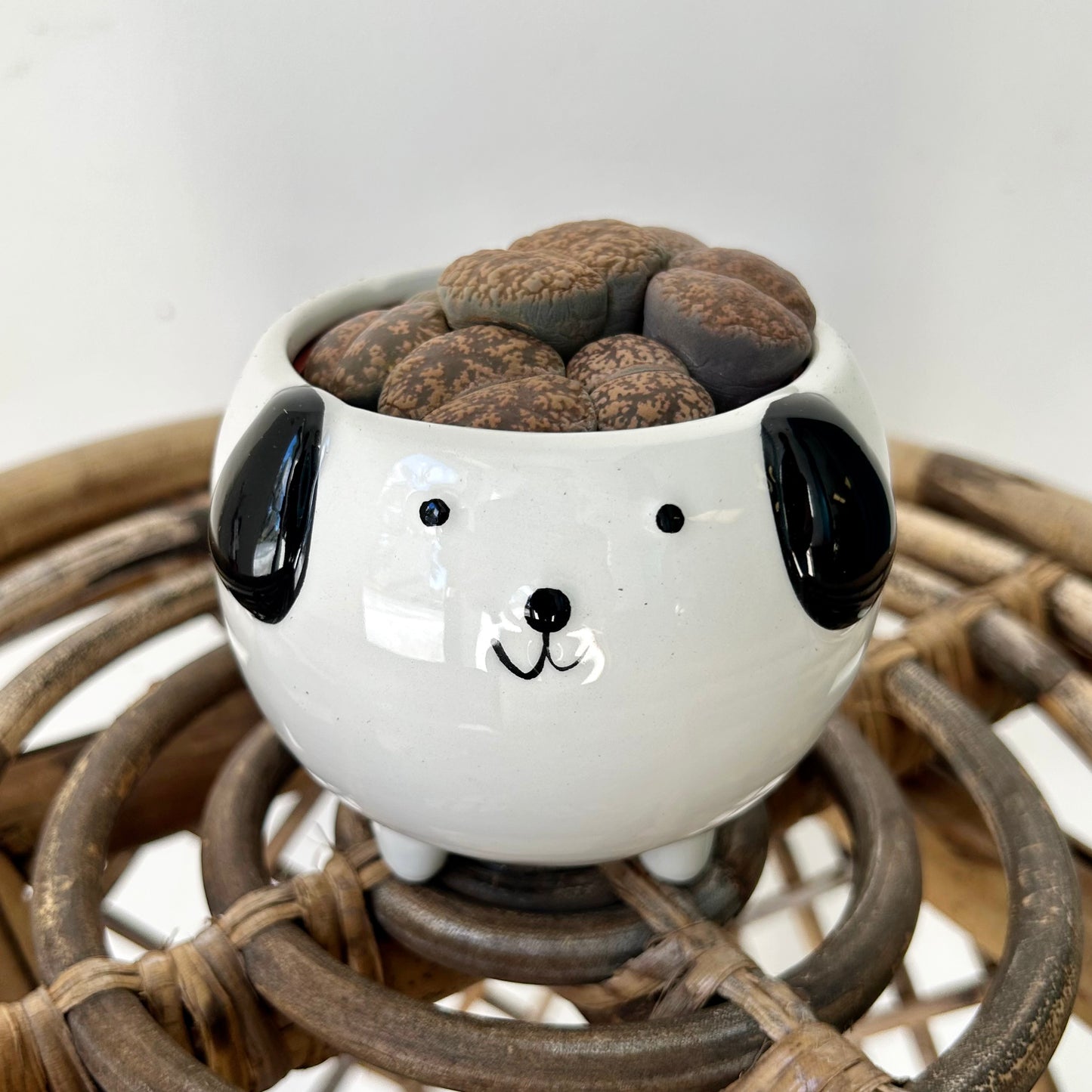 Black & White Dog  Decorative Pot (3”x3”)