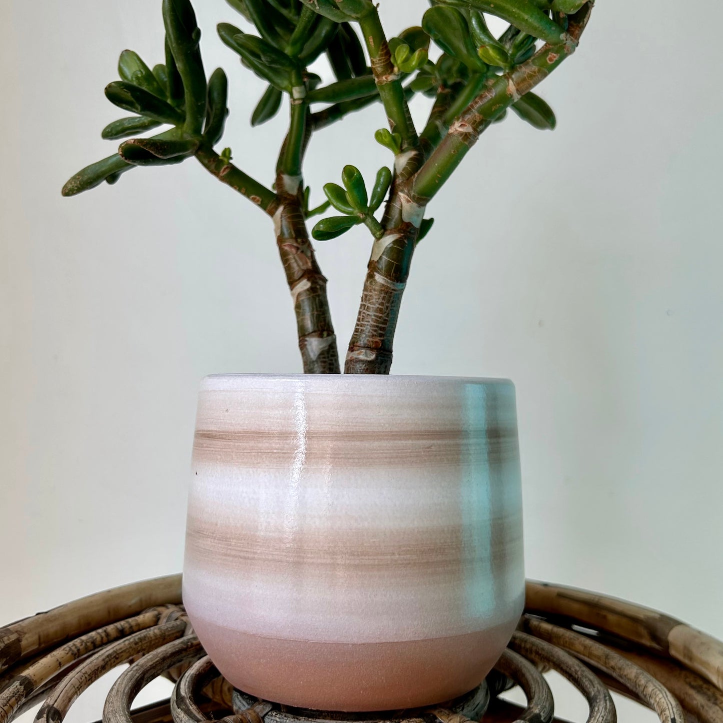 NAOMI Decorative Pot (4.75”x4.5”)