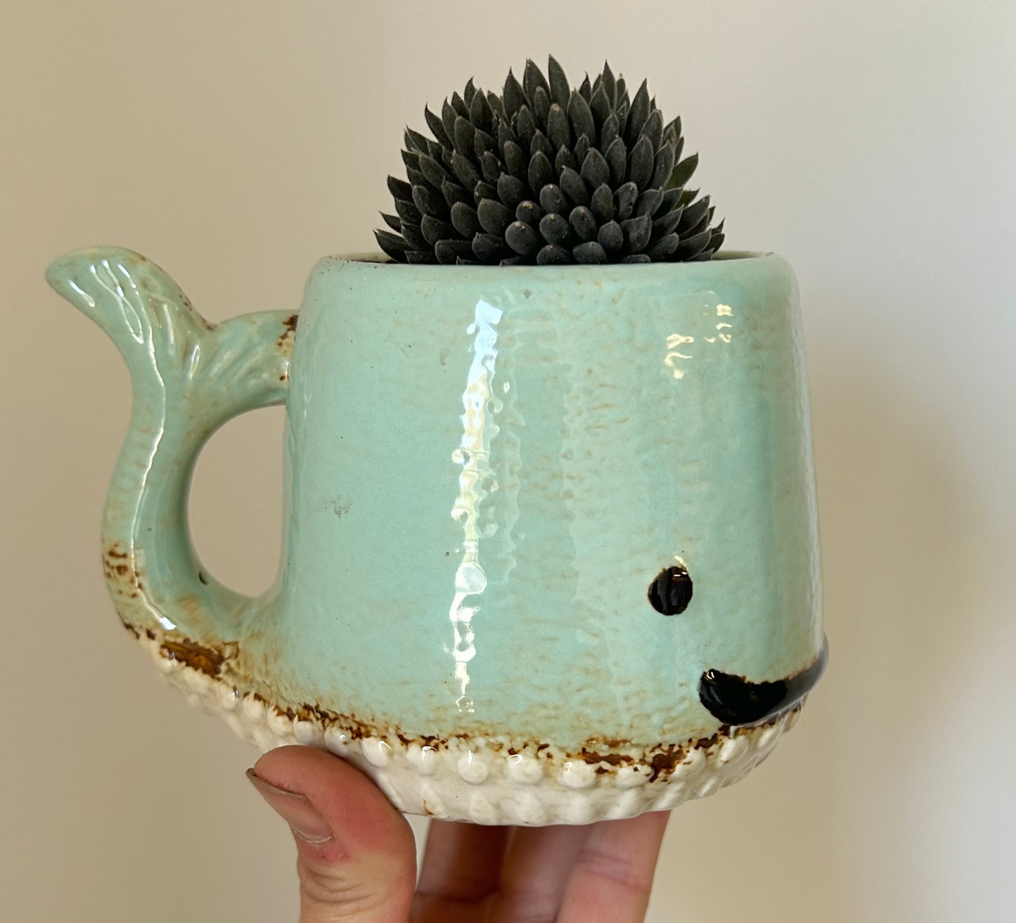 WHALE Decorative Planter (2.75”x3”)