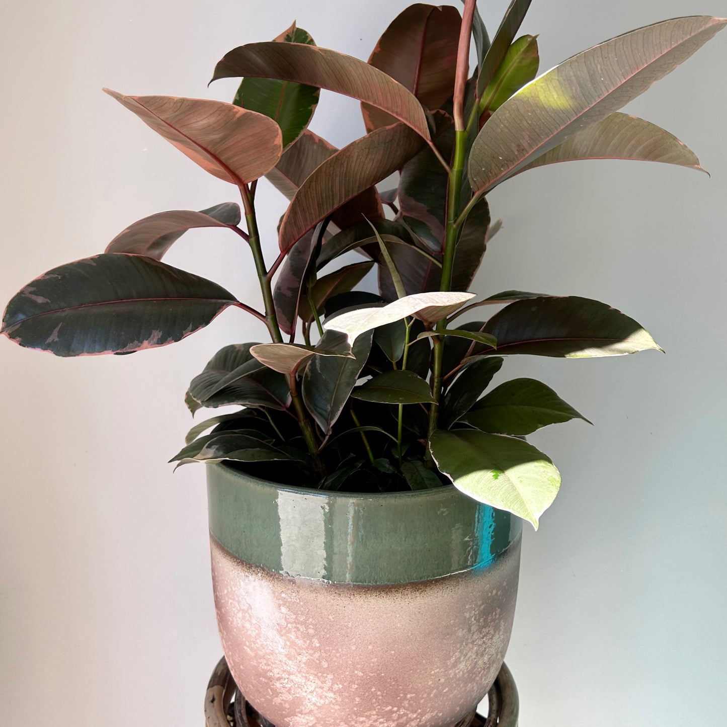 MICA Large Decorative Ceramic Pot (11.25”x10”)