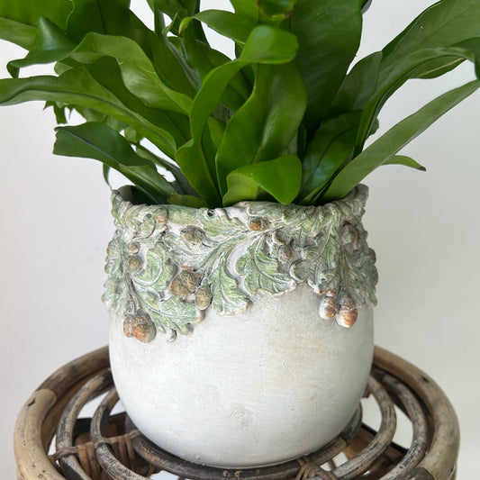 OAKWOOD Decorative Cement Pot (available in three sizes)