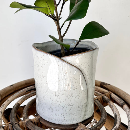 DIANE Decorative Pot (4.5"X5")