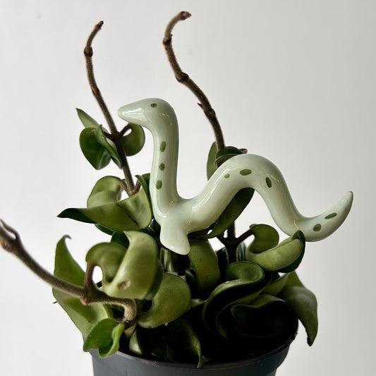 Ceramic Decorative Accents