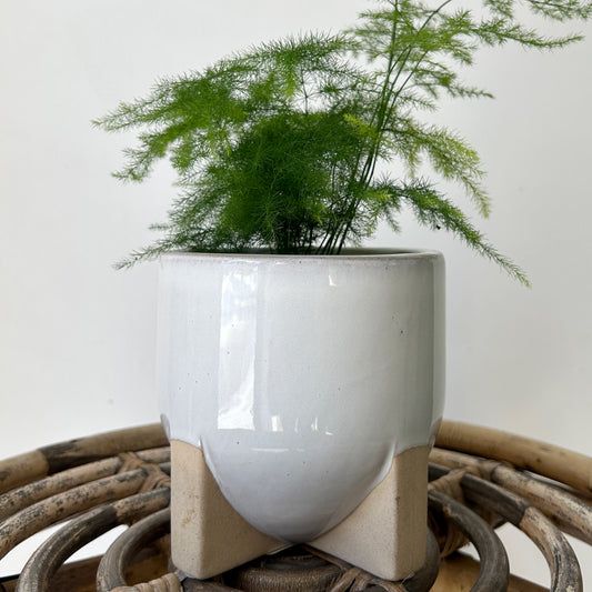 REMY footed decorative ceramic pot (available  in two sizes)