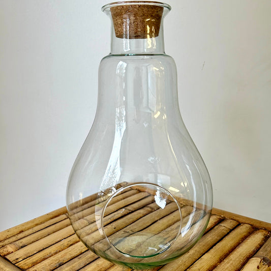 Pear-Shape Terrarium with cork top (6.5”X12)