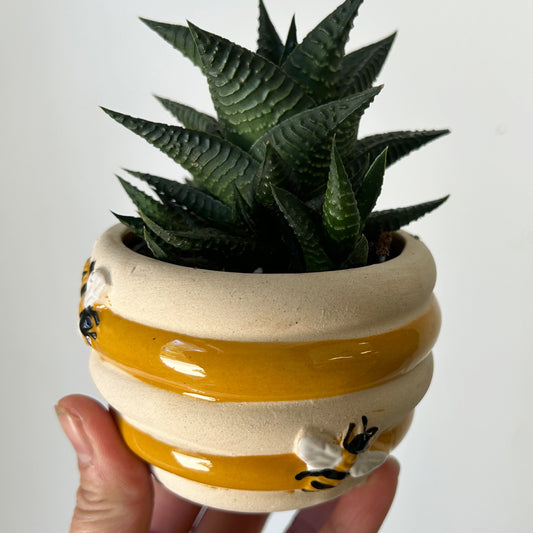 Beehive Decorative Pot (3”x2.5”)
