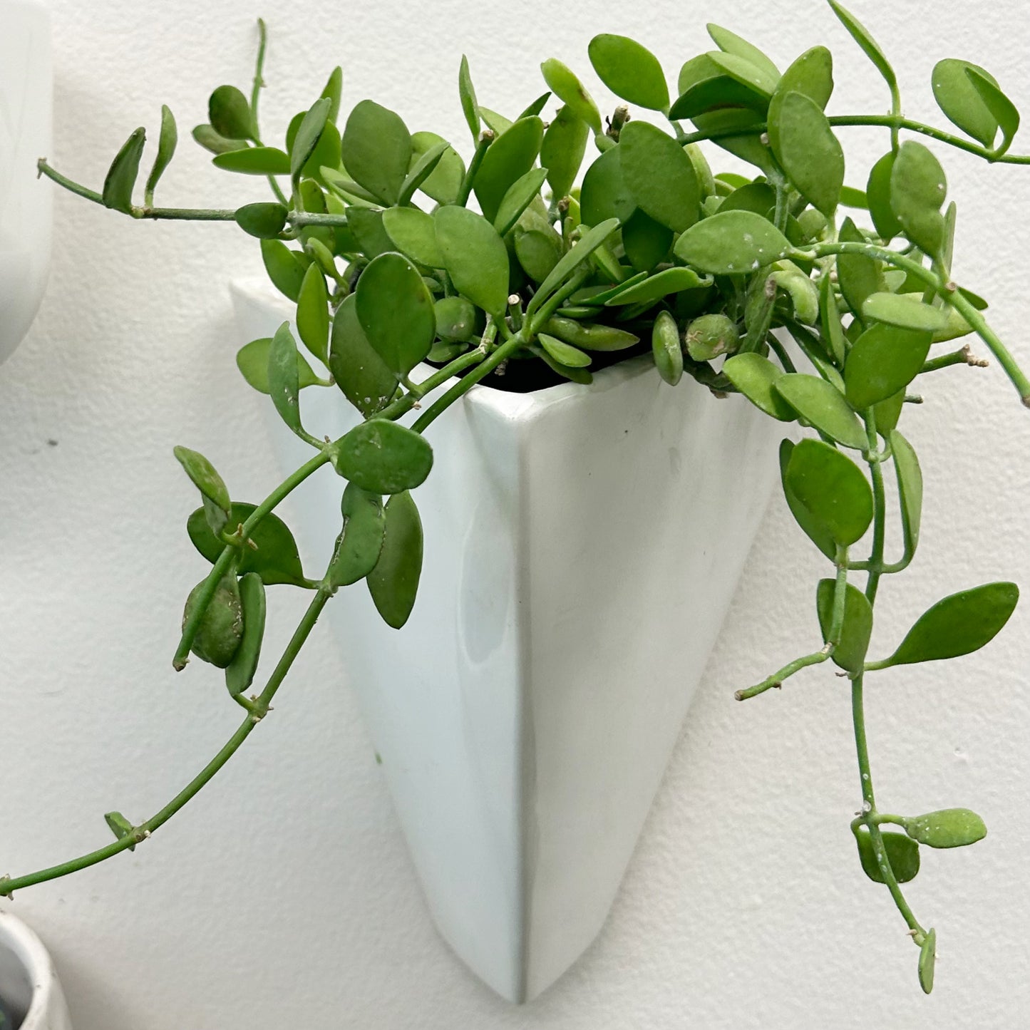 Triangle Stackable Planter THEO Wall-Mounted Decorative Triangle Planter (3.5βx7) β House of Plants