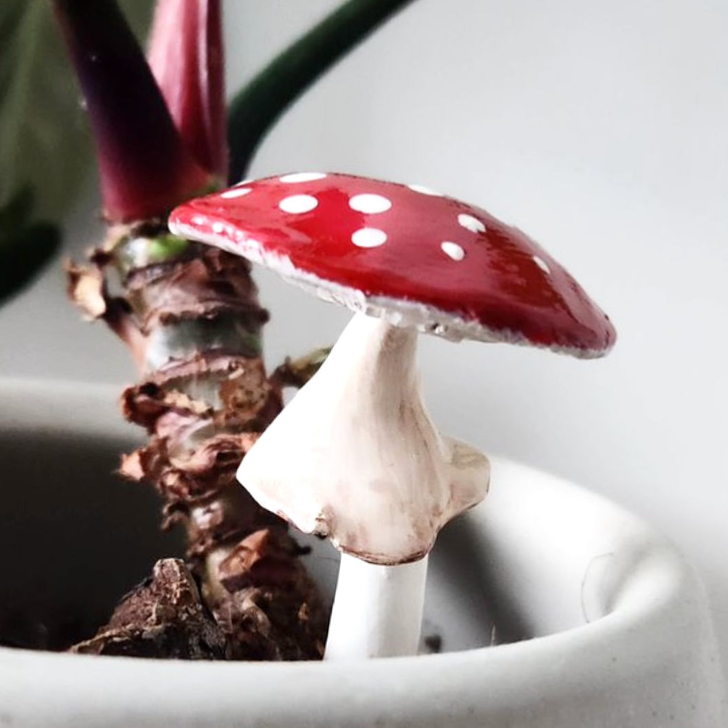 PLANT SHROOMS Red Toadstool Mushrooms Decorative Accent
