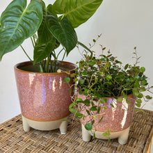 Load image into Gallery viewer, GEMMA Decorative Ceramic Footed Planter (available in 2 sizes)
