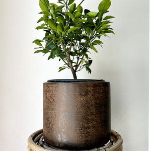 ARTURO Cylindrical Planter COPPER colour (available in 2 sizes)