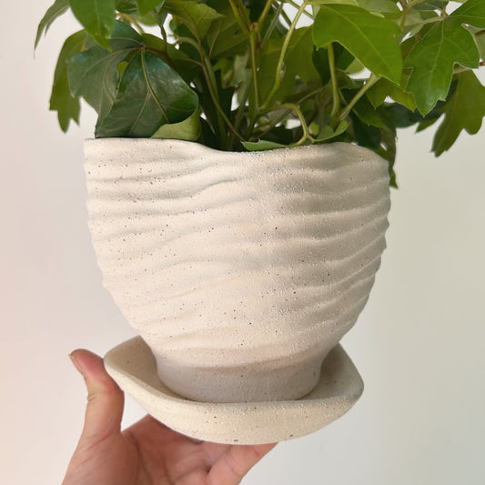 HIGHLAND Textured Planter with Saucer