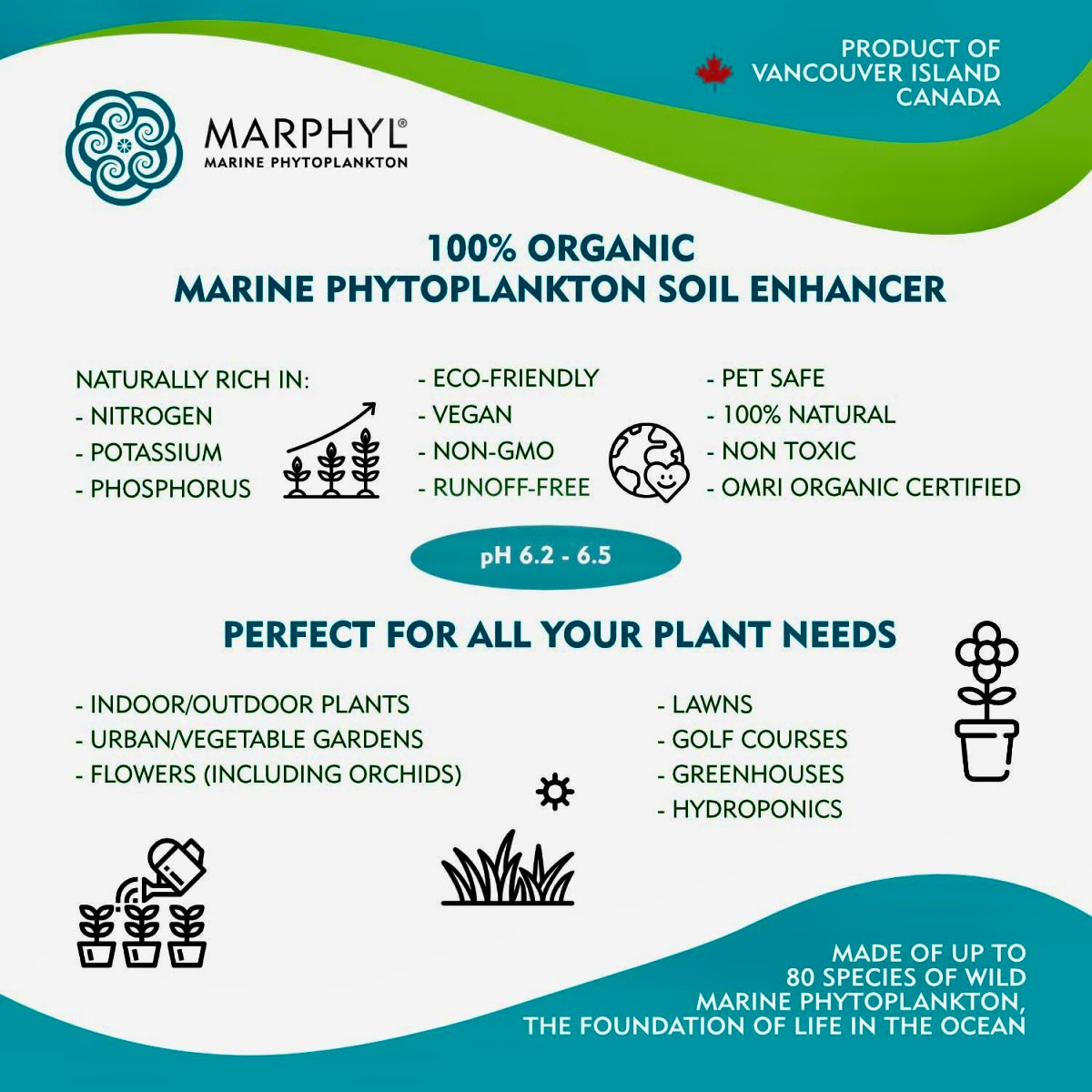 Marphyl organic liquid marine phytoplankton soil enhancer