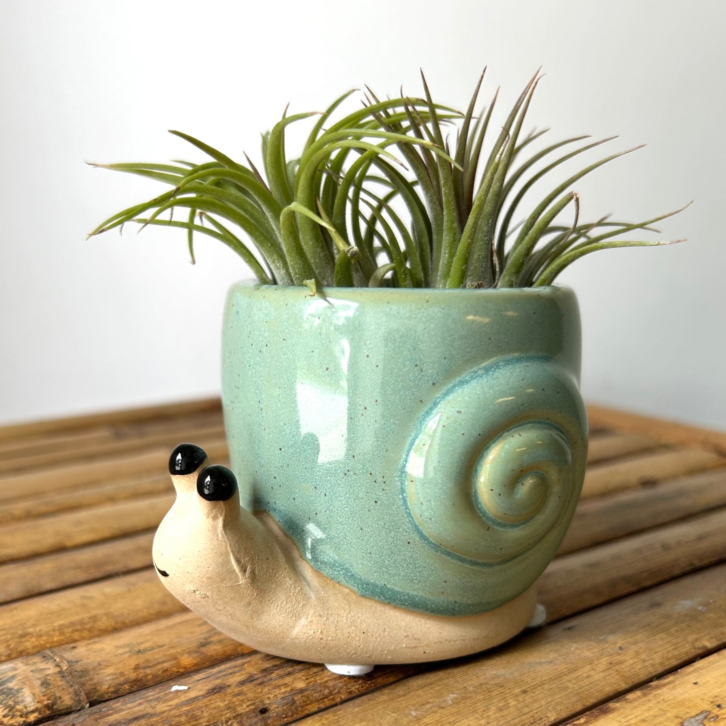 Snail Decorative Pot (2.25"X2.5")