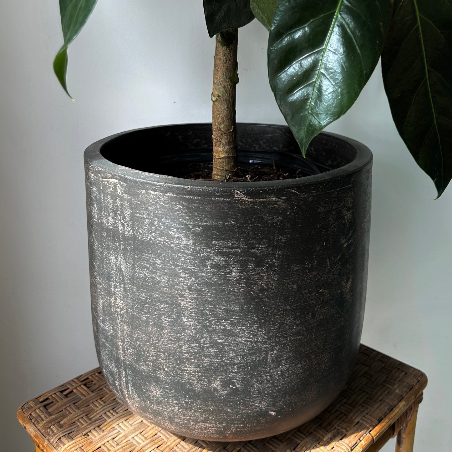 ARTURO Copper Large Cylindrical Planter (10”x10”)
