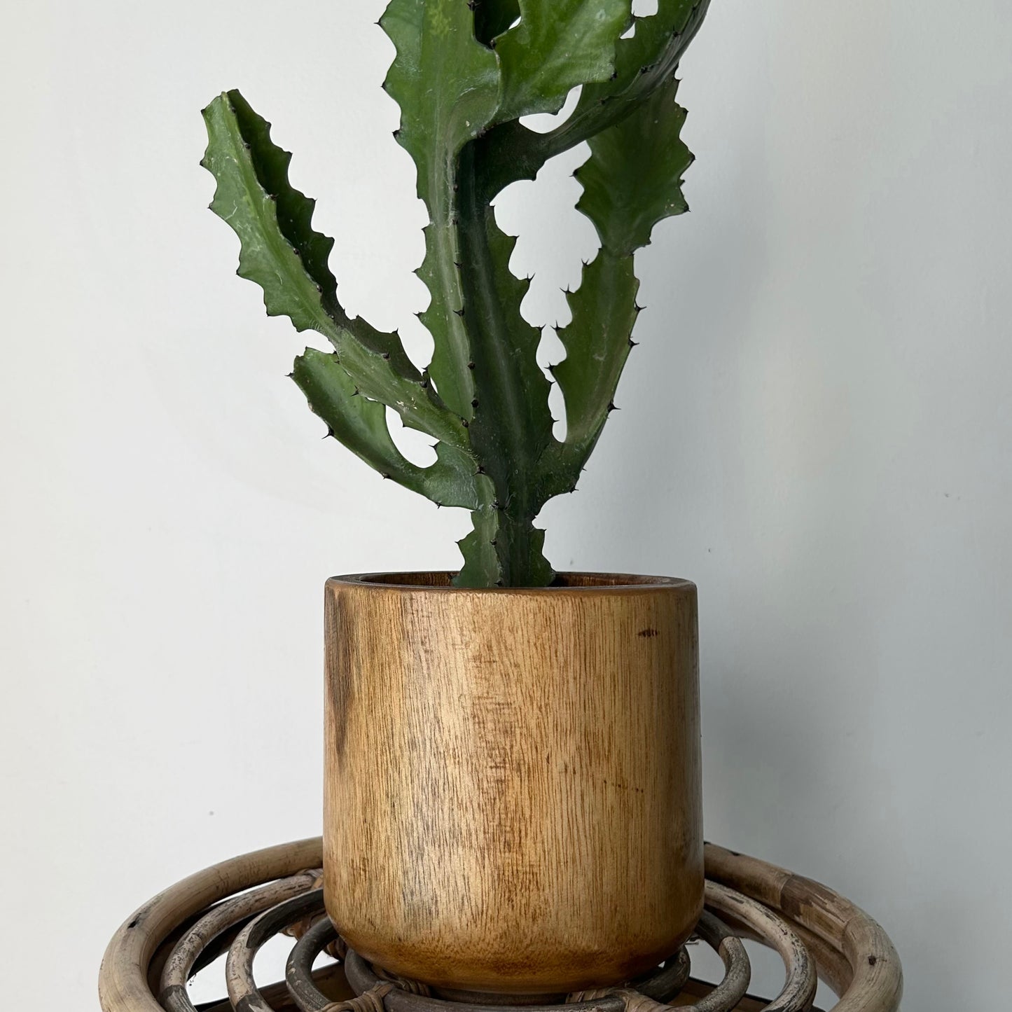 NICO Wooden Decorative Planter (5”x6”)