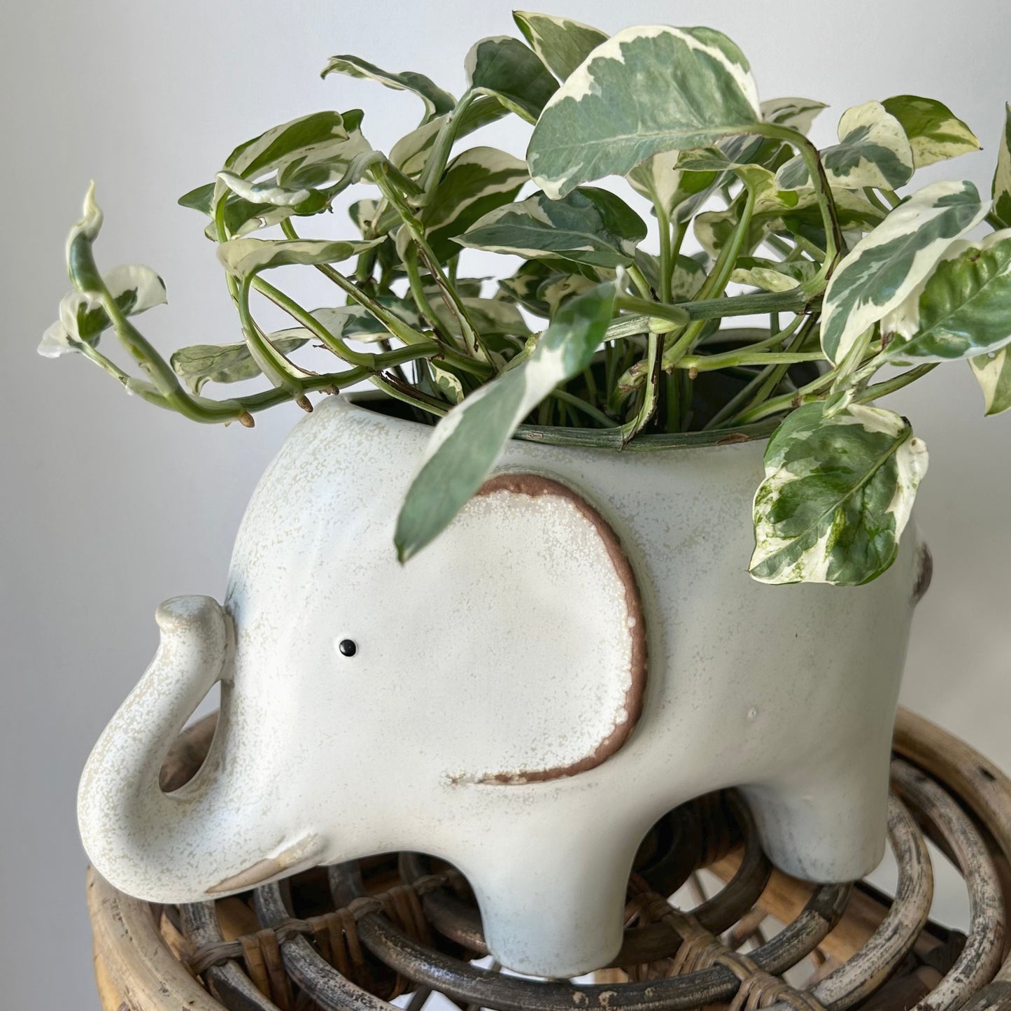 ELEPHANT Decorative Pot