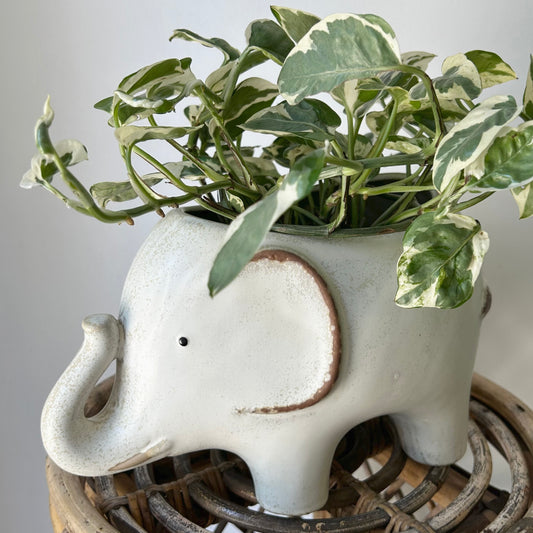 ELEPHANT Decorative Pot