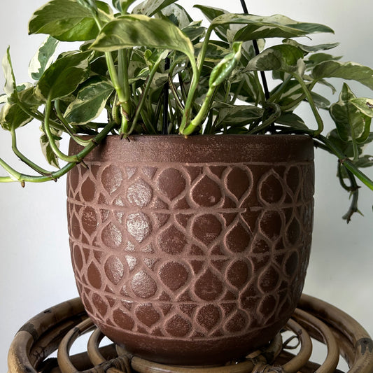 AVIVA Planter GARNET RED