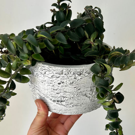 Cement Birch Bark decorative pot (available in two sizes)