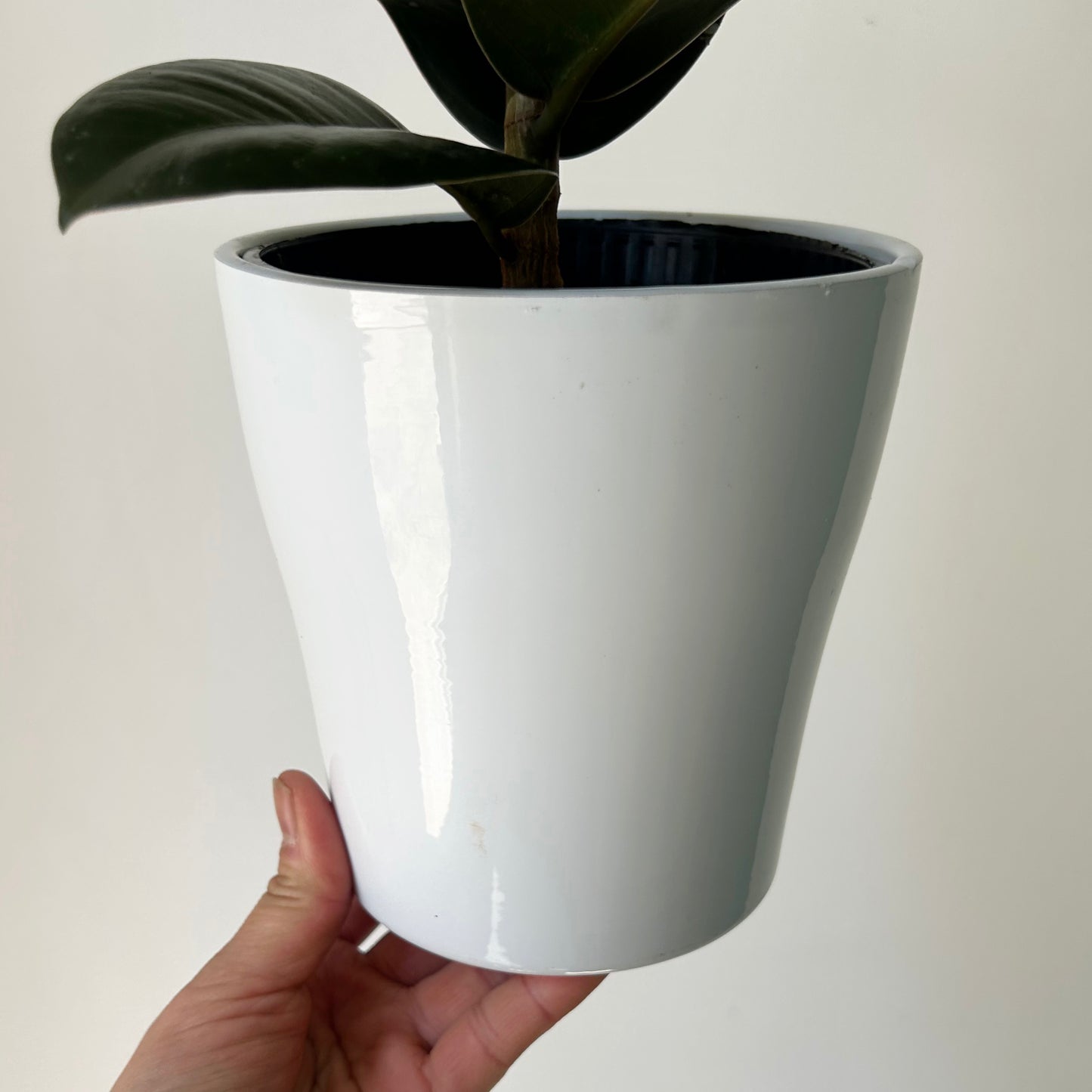 MENA Decorative Pot Glossy White (5”X5.5”)