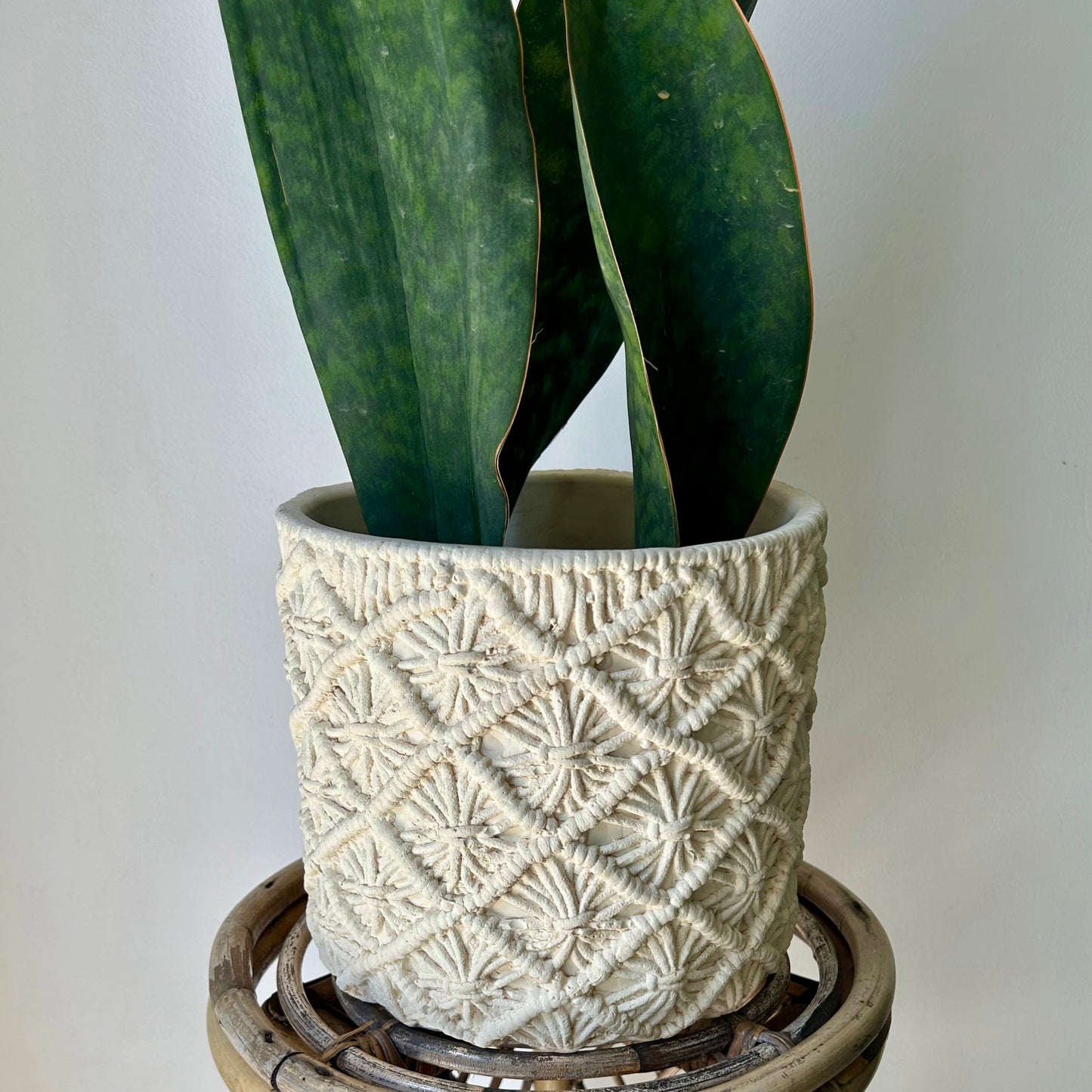 ROWYN Decorative cement pot (macrame textured design) 8”X8”