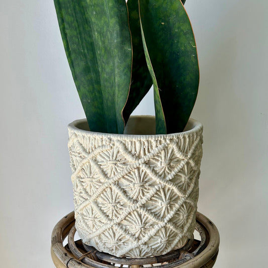 ROWYN Decorative cement pot (macrame textured design) 8”X8”