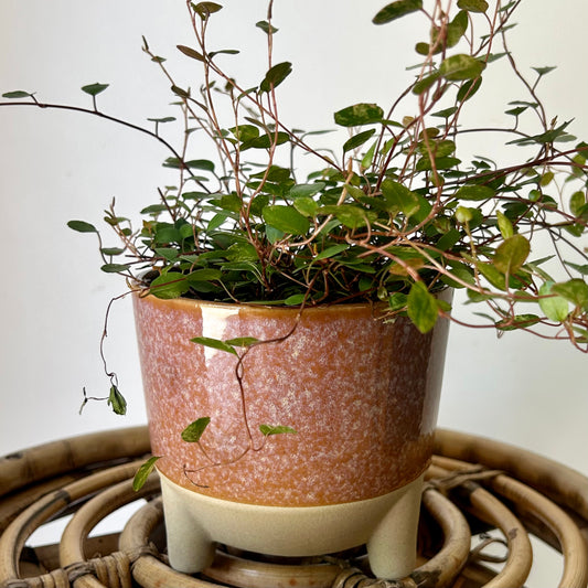 GEMMA Decorative Ceramic Footed Planter (4.5”x3.5”)