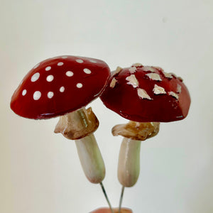 PLANT SHROOMS Toadstool Mushrooms Decorative Accent