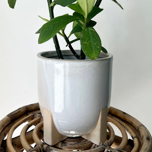 REMY footed decorative ceramic pot (5”x5”)