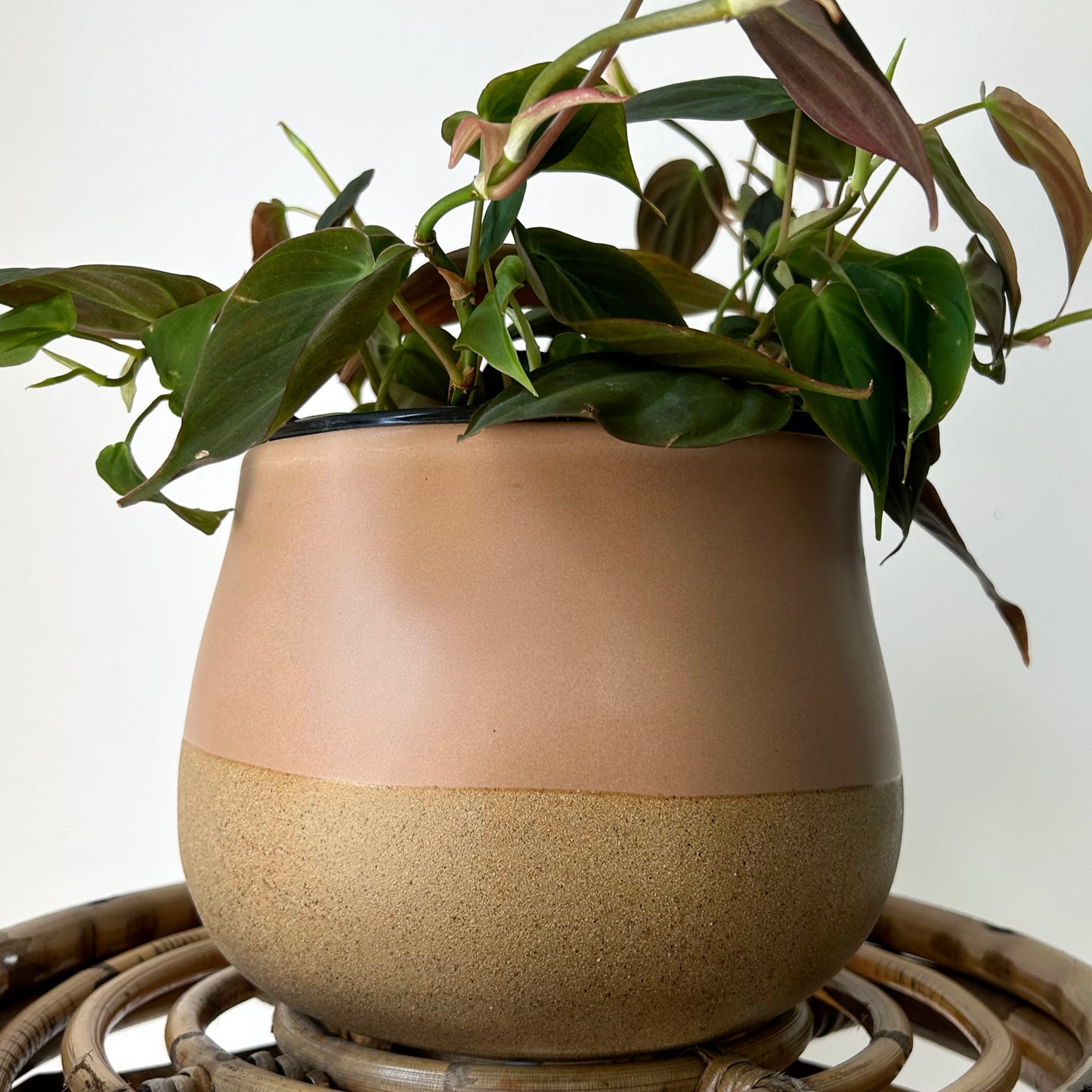 ARIA Asymmetrical Decorative Pot sandstone base (6”x5.5”)