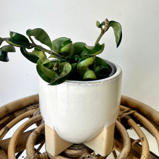 REMY footed decorative ceramic pot (3.5”x3.5”)