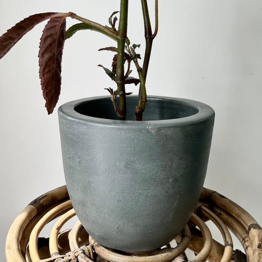SIMCOE Bell-Shaped Planter GREY (5.25”x6”)