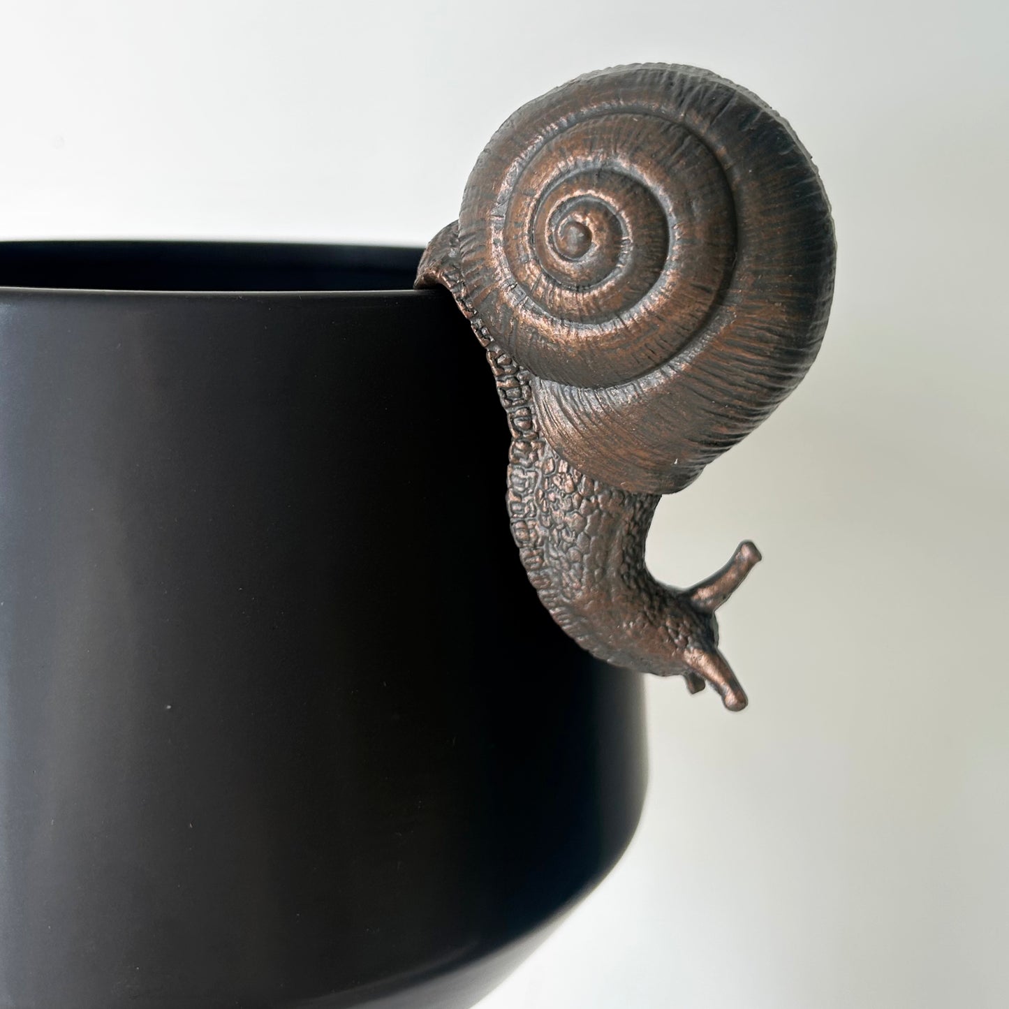 Bronze SNAIL Decorative Accent