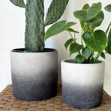 Load image into Gallery viewer, WHITNEY Decorative two-tone Concrete Pot (available in two sizes)
