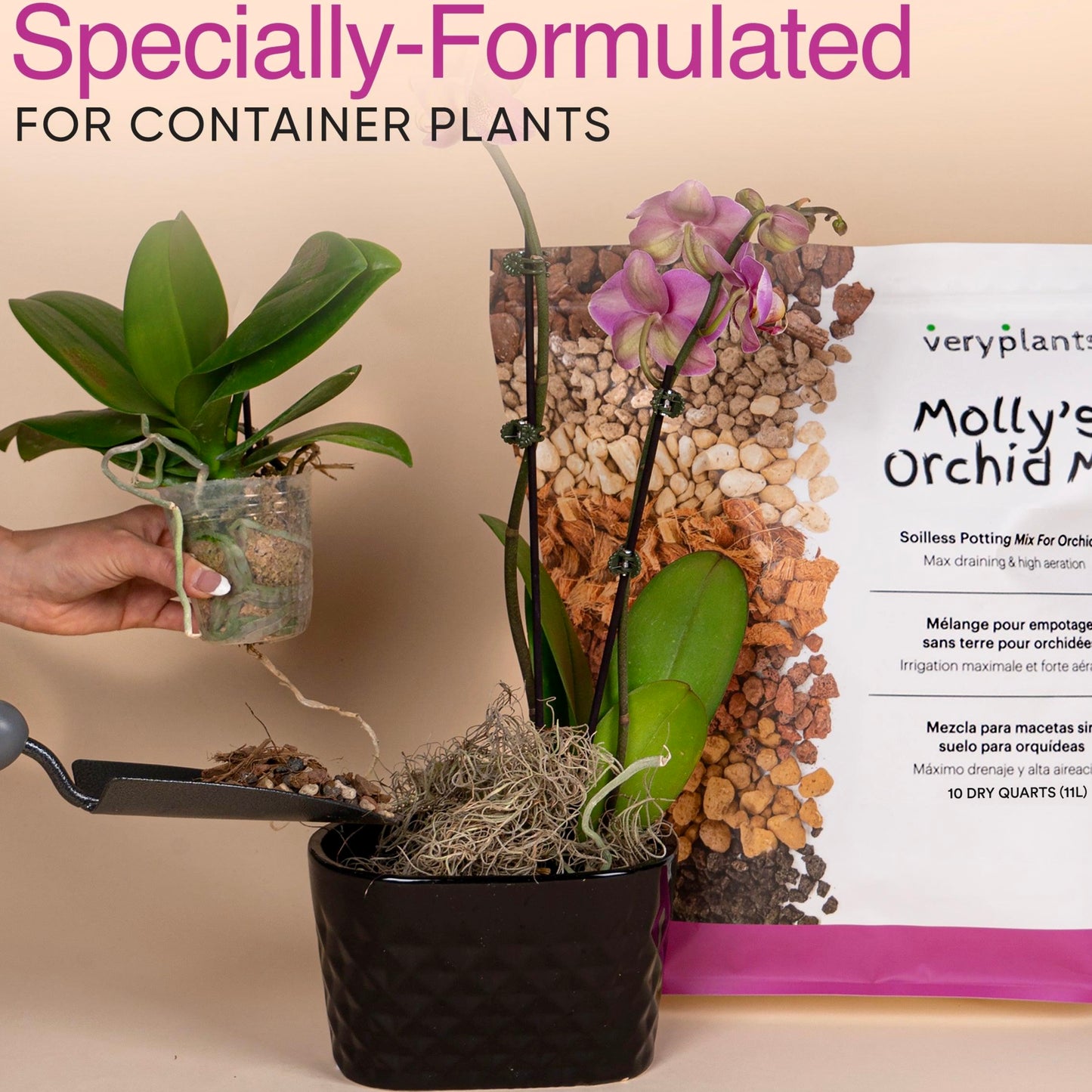 Molly's Orchid Mix - Premium Soilless Orchid Potting Mix