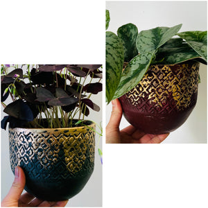 CALEB Decorative Pot (5.25”X5”) Available in two colours